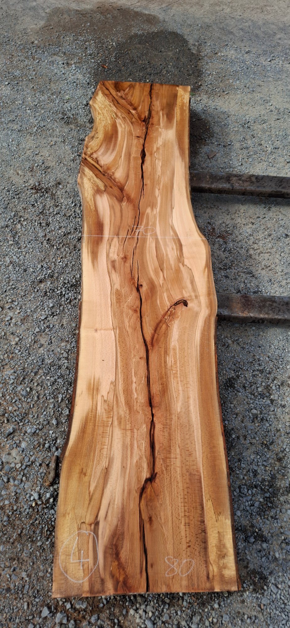 Buchenholz 04 aus Buche, Artikelnummer 2601081004