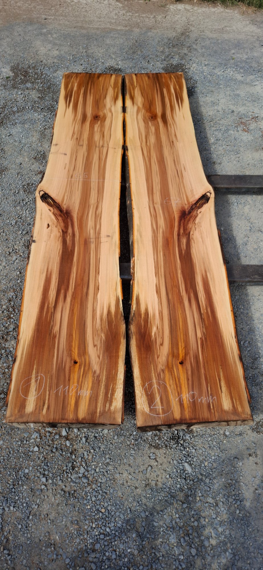 Buche Tischplatten-Set 01 aus Buche, Artikelnummer 2601080001