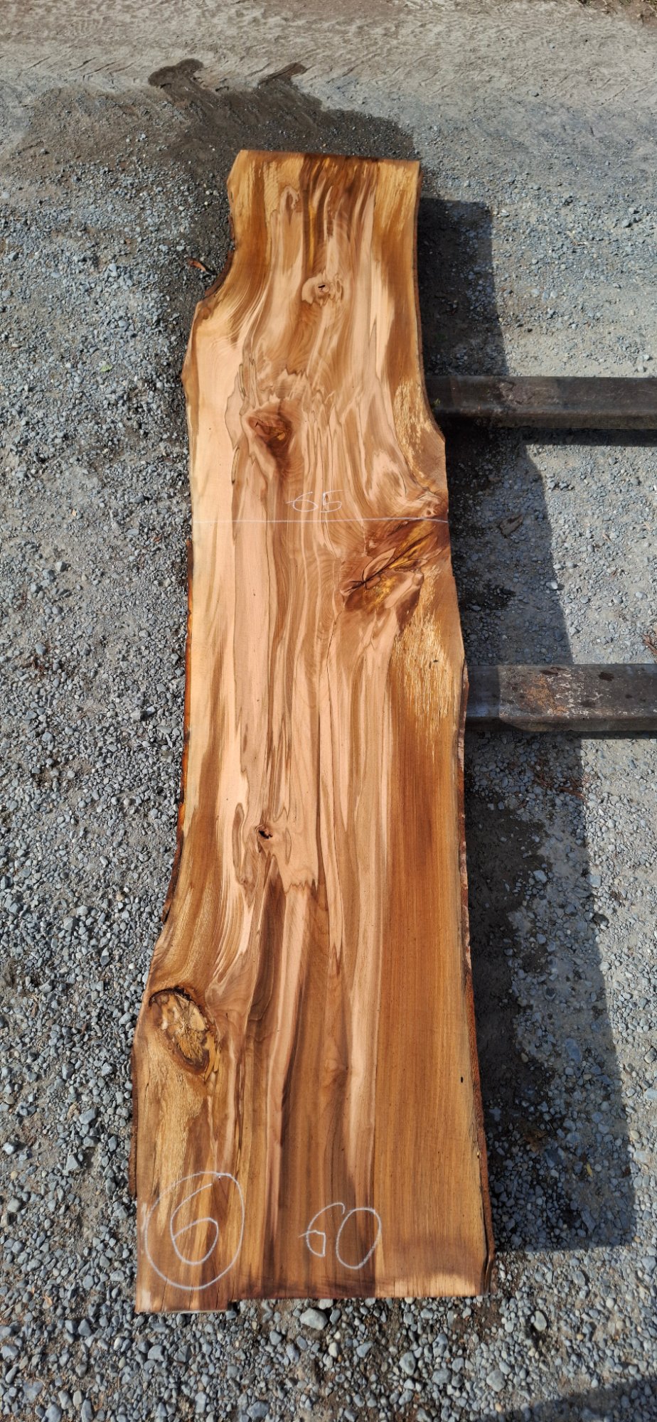 Buchenholz 01 aus Buche, Artikelnummer 2601081006
