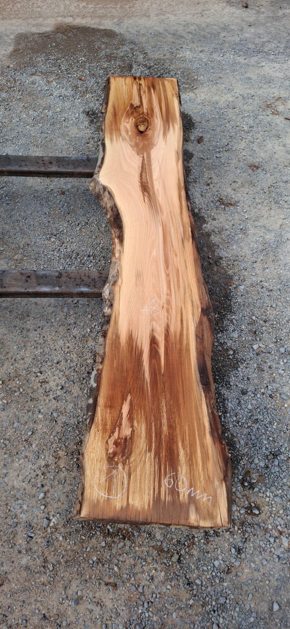 Buchenholz 02 aus Buche, Artikelnummer 2601081001