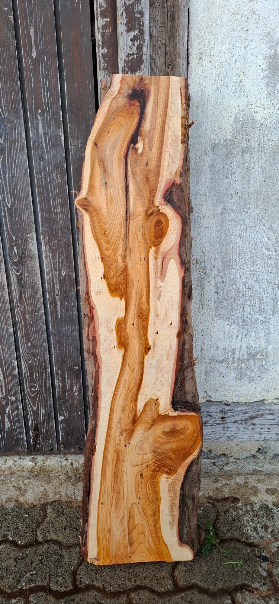 Eibenholz 07 aus Eibe, Artikelnummer 26-00909-007