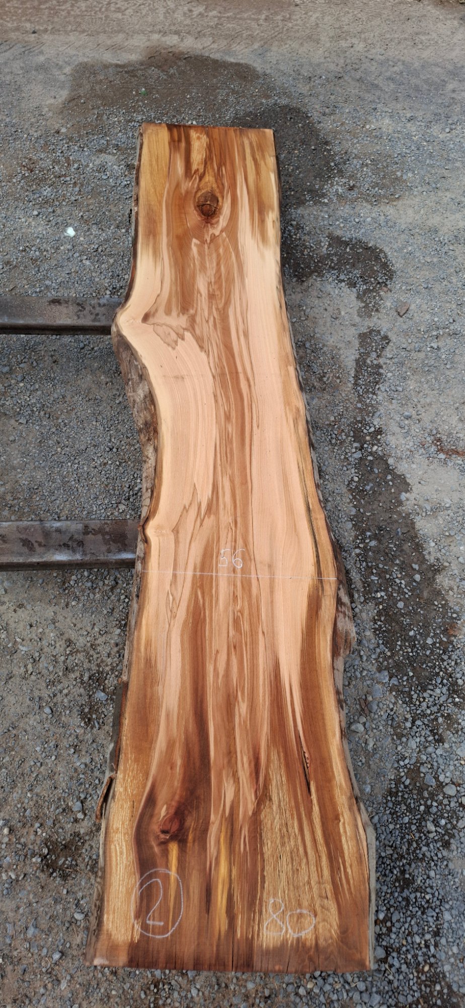 Buchenholz 06 aus Buche, Artikelnummer 2601081002
