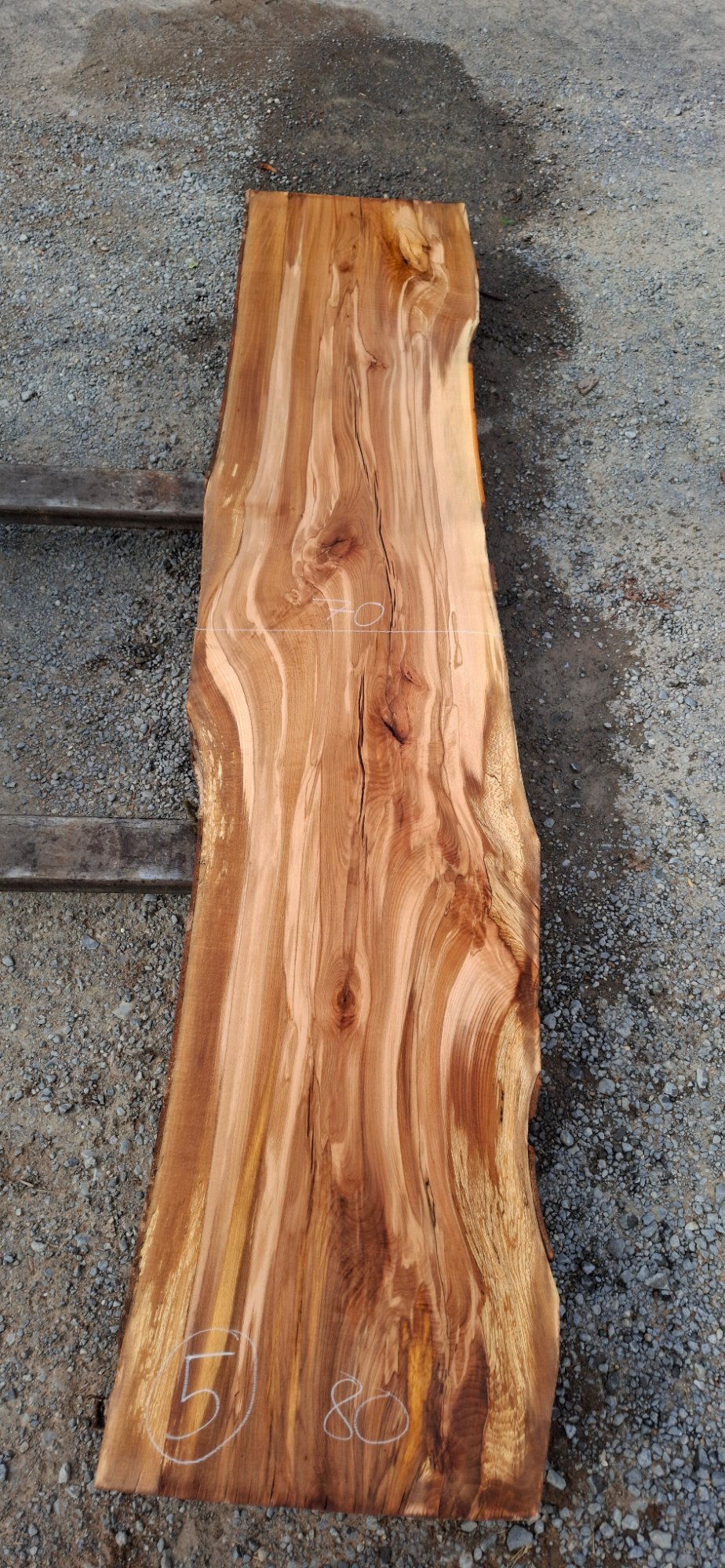 Buchenholz 03 aus Buche, Artikelnummer 2601081005